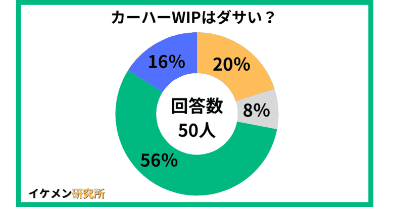 カーハーWIPはダサい？50人へのアンケート結果